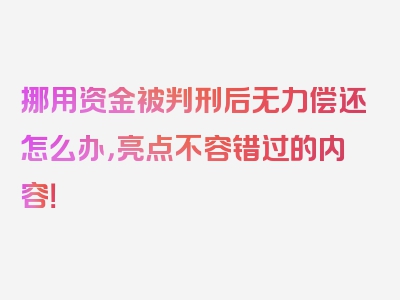 挪用资金被判刑后无力偿还怎么办，亮点不容错过的内容！