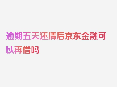 逾期五天还清后京东金融可以再借吗