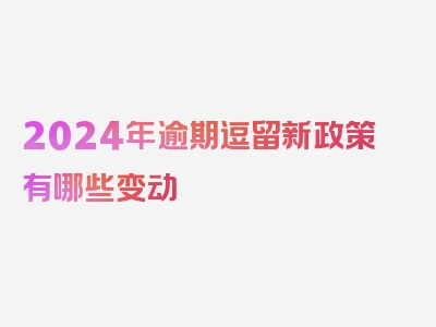 2024年逾期逗留新政策有哪些变动