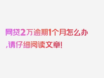 网贷2万逾期1个月怎么办，请仔细阅读文章！