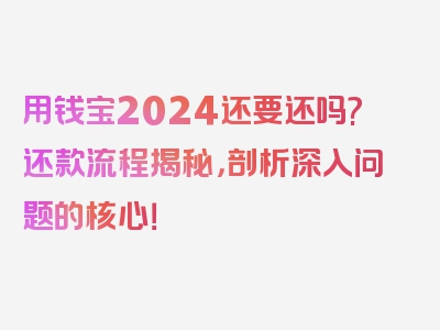 用钱宝2024还要还吗?还款流程揭秘，剖析深入问题的核心！