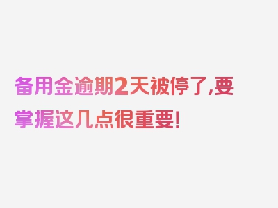 备用金逾期2天被停了，要掌握这几点很重要！