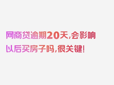 网商贷逾期20天,会影响以后买房子吗，很关键!