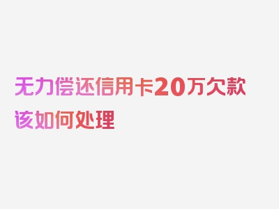 无力偿还信用卡20万欠款该如何处理