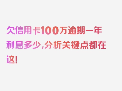 欠信用卡100万逾期一年利息多少，分析关键点都在这！