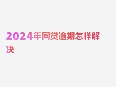 2024年网贷逾期怎样解决