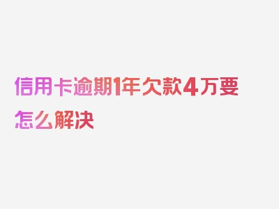 信用卡逾期1年欠款4万要怎么解决