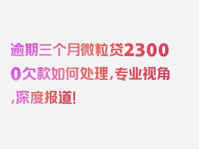 逾期三个月微粒贷23000欠款如何处理，专业视角，深度报道！