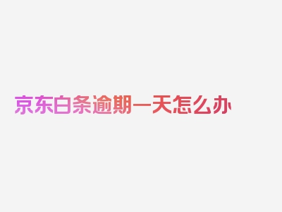 京东白条逾期一天怎么办 会造成什么后果，深入点阅读发现更多！