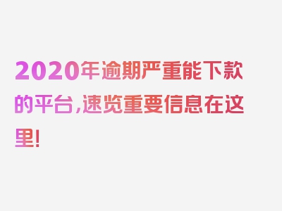 2020年逾期严重能下款的平台，速览重要信息在这里！