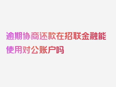 逾期协商还款在招联金融能使用对公账户吗