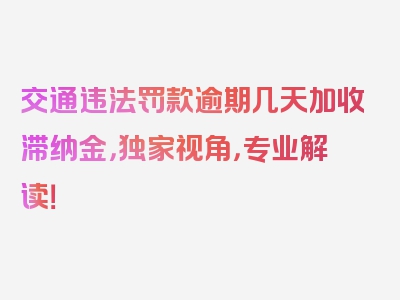 交通违法罚款逾期几天加收滞纳金，独家视角，专业解读！