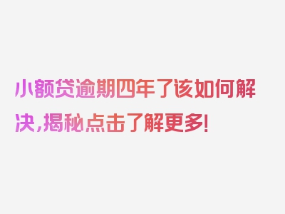 小额贷逾期四年了该如何解决，揭秘点击了解更多！