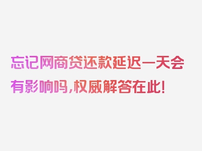 忘记网商贷还款延迟一天会有影响吗，权威解答在此！