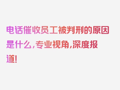 电话催收员工被判刑的原因是什么，专业视角，深度报道！