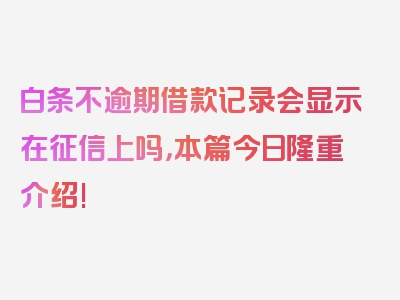 白条不逾期借款记录会显示在征信上吗，本篇今日隆重介绍!