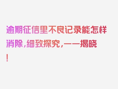 逾期征信里不良记录能怎样消除，细致探究，一一揭晓！