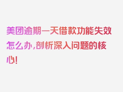 美团逾期一天借款功能失效怎么办，剖析深入问题的核心！