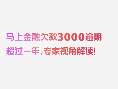 马上金融欠款3000逾期超过一年，专家视角解读！