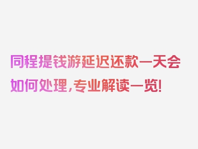 同程提钱游延迟还款一天会如何处理，专业解读一览！