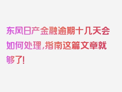 东风日产金融逾期十几天会如何处理，指南这篇文章就够了！