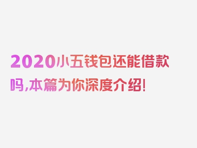 2020小五钱包还能借款吗，本篇为你深度介绍!