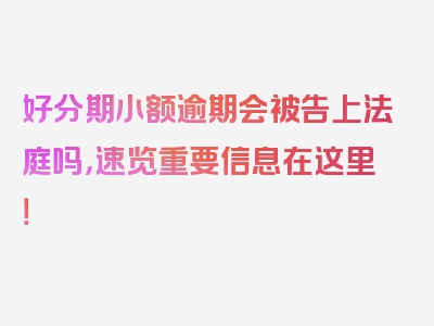 好分期小额逾期会被告上法庭吗，速览重要信息在这里！