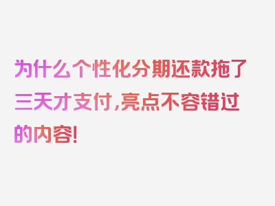 为什么个性化分期还款拖了三天才支付，亮点不容错过的内容！