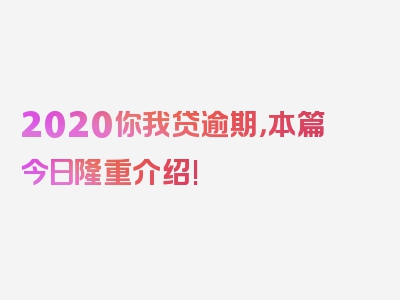 2020你我贷逾期，本篇今日隆重介绍!