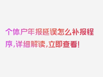 个体户年报延误怎么补报程序，详细解读，立即查看！