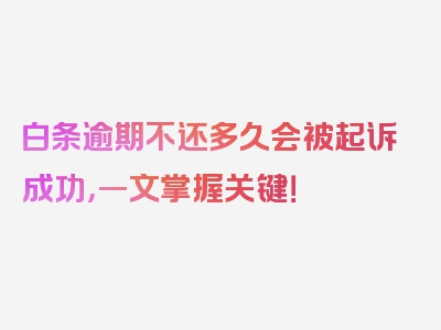 白条逾期不还多久会被起诉成功，一文掌握关键！