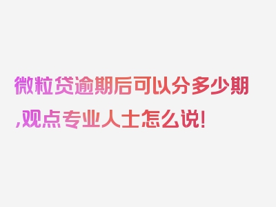 微粒贷逾期后可以分多少期，观点专业人士怎么说！