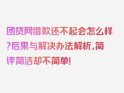 团贷网借款还不起会怎么样?后果与解决办法解析，简评简洁却不简单！