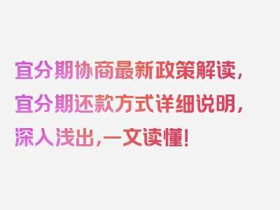 宜分期协商最新政策解读,宜分期还款方式详细说明，深入浅出，一文读懂！