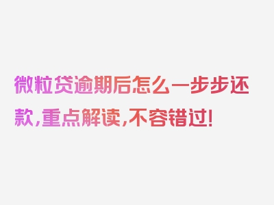 微粒贷逾期后怎么一步步还款，重点解读，不容错过！