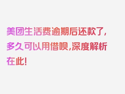 美团生活费逾期后还款了,多久可以用借呗，深度解析在此！