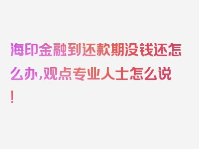 海印金融到还款期没钱还怎么办，观点专业人士怎么说！