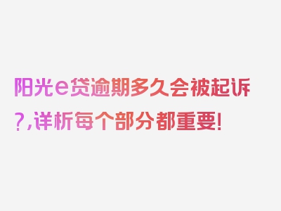 阳光e贷逾期多久会被起诉?，详析每个部分都重要！