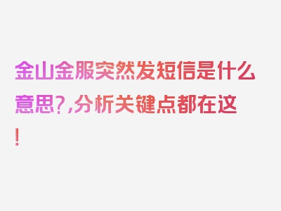 金山金服突然发短信是什么意思?，分析关键点都在这！