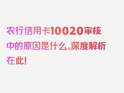 农行信用卡10020审核中的原因是什么，深度解析在此！