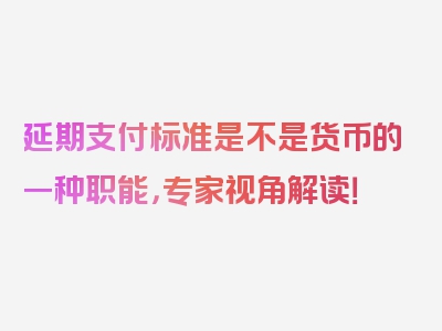 延期支付标准是不是货币的一种职能，专家视角解读！