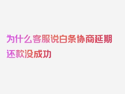 为什么客服说白条协商延期还款没成功