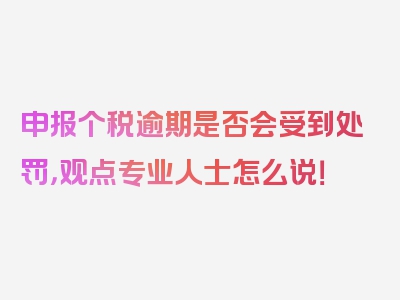 申报个税逾期是否会受到处罚，观点专业人士怎么说！