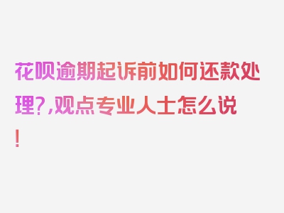 花呗逾期起诉前如何还款处理?，观点专业人士怎么说！