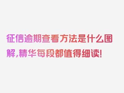 征信逾期查看方法是什么图解，精华每段都值得细读！