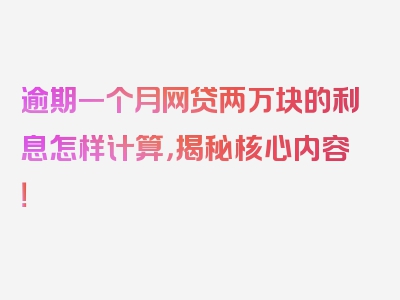 逾期一个月网贷两万块的利息怎样计算，揭秘核心内容！