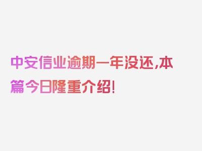 中安信业逾期一年没还，本篇今日隆重介绍!