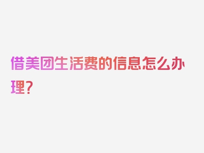 借美团生活费的信息怎么办理？