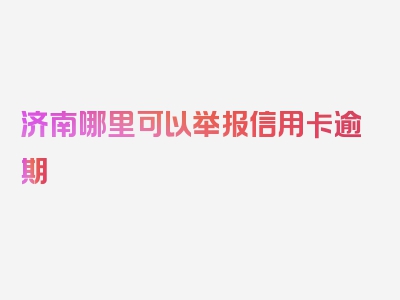 济南哪里可以举报信用卡逾期