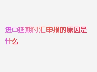 进口延期付汇申报的原因是什么